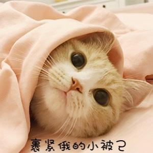 003734ove5ep4adtppaqpp.jpg