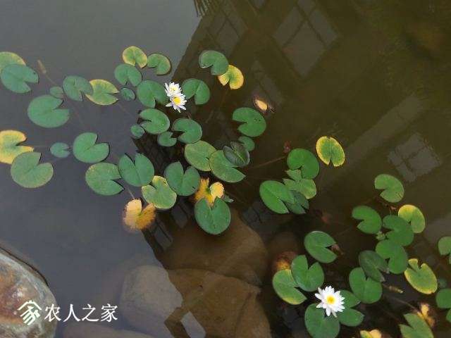 IMG_20150719_092235.jpg
