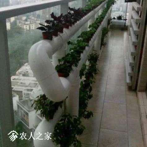 u=3549753017,2627168071&amp;fm=173&amp;app=25&amp;f=JPEG.jpg