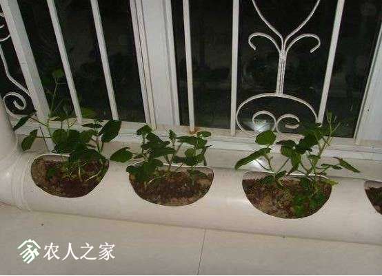 u=1283180921,1602773969&amp;fm=173&amp;app=25&amp;f=JPEG.jpg