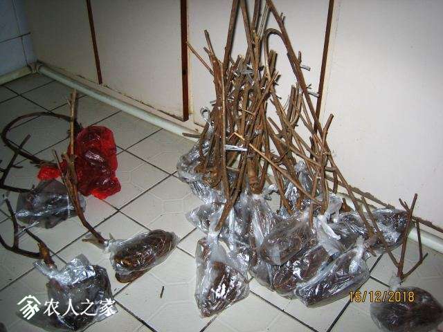 04.jpg