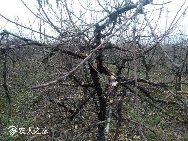 IMG_20181214_095509.jpg