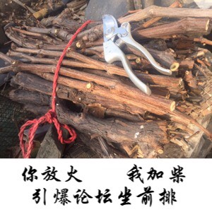 205300gy2qbbbb417baby9.jpg