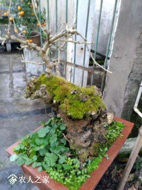 ΢ͼƬ_20181129135504.jpg