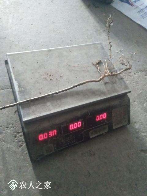 QQͼƬ20181221091132.jpg