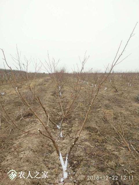 ΢��ͼƬ_20181222193719.jpg