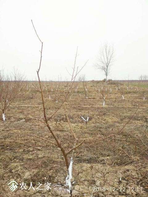 ΢��ͼƬ_20181222193732.jpg