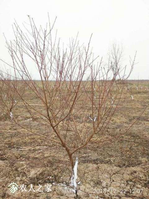 ΢��ͼƬ_20181222193736.jpg