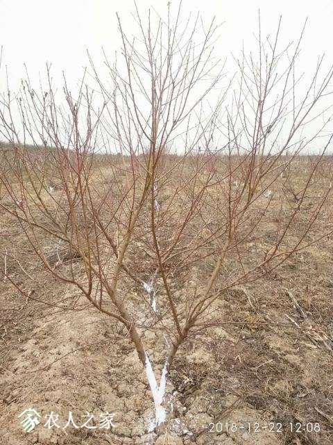 ΢��ͼƬ_20181222193741.jpg