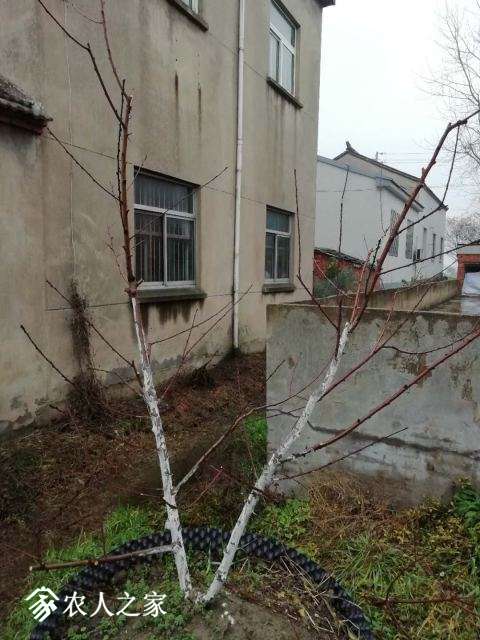 ΢ͼƬ_20181223092053.jpg