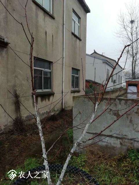 ΢ͼƬ_20181223092049.jpg