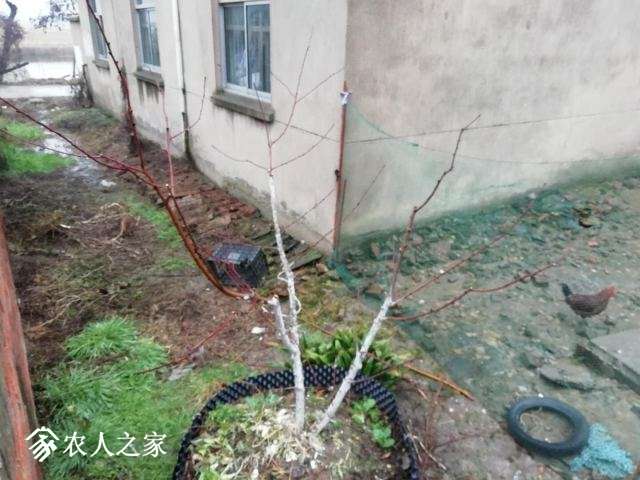 ΢ͼƬ_20181223092057.jpg