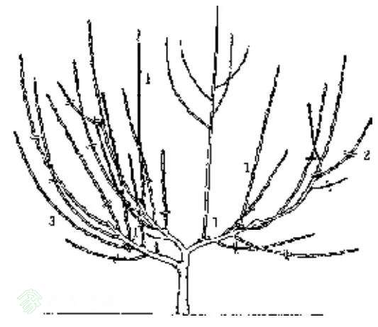 14.webp.jpg