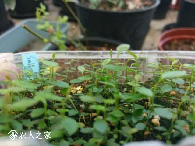 IMAG9134.jpg