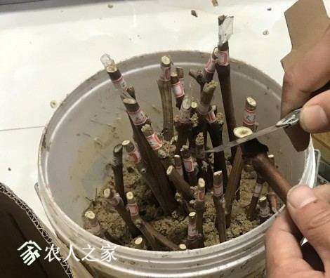 4444.jpg
