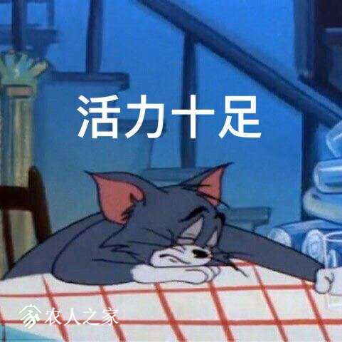 005A0PMely1fv5bxzg56rj30dd0dc0tf.jpg