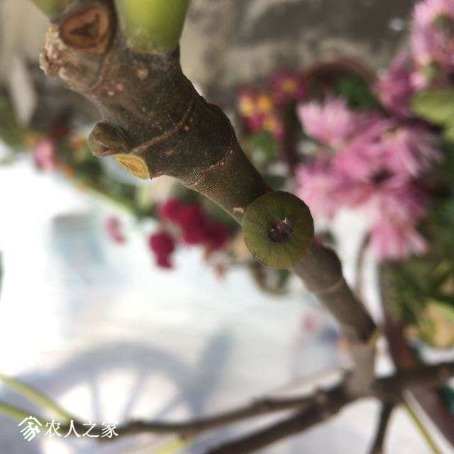 ΢ͼƬ_20190102174225.jpg