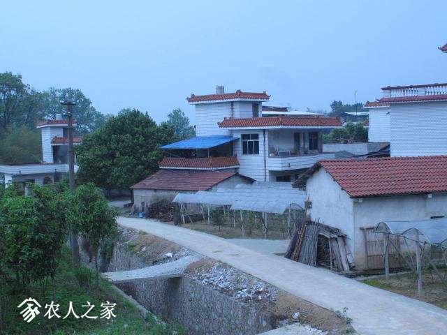 һ�״�ί��͹��Ȼ���ò (2).jpg