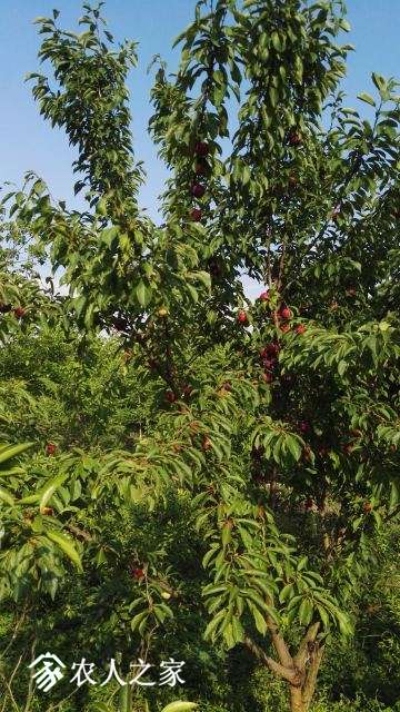 IMG_20180525_172748.jpg