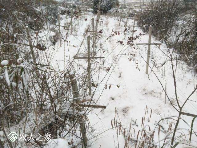 IMG_20181230_152703_С.jpg