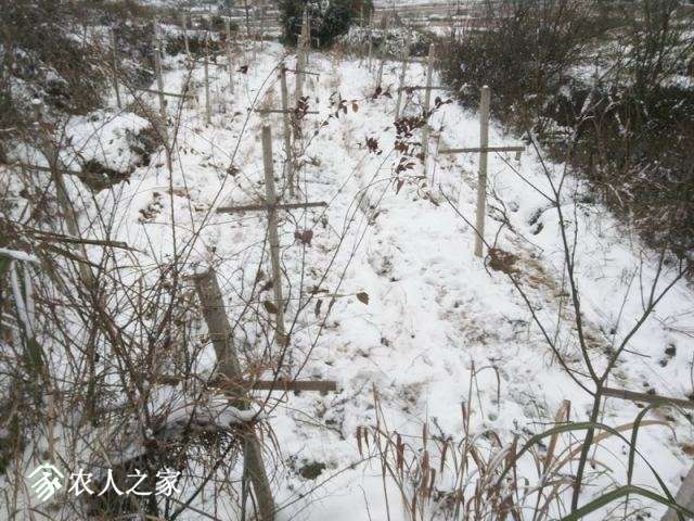 IMG_20181231_172606_С.jpg