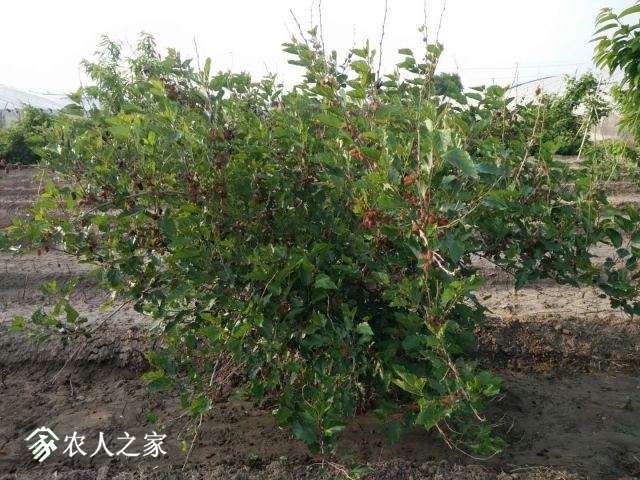 3beefaf10aa92627bb30e78db5c91b7.jpg