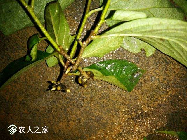 ΢ͼƬ_20190116142648.jpg
