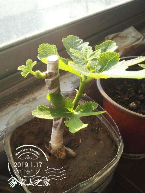 ΢ͼƬ_20190117085509.jpg