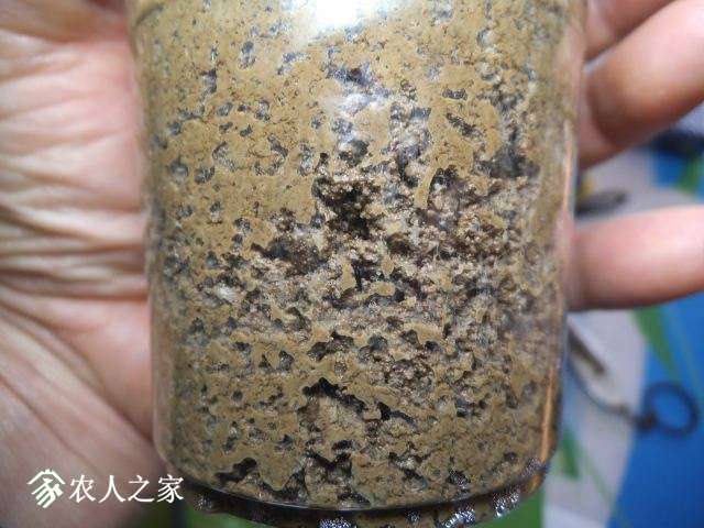DSCF3331.JPG