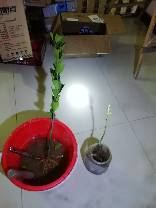 IMG_20190122_193935.jpg.JPG