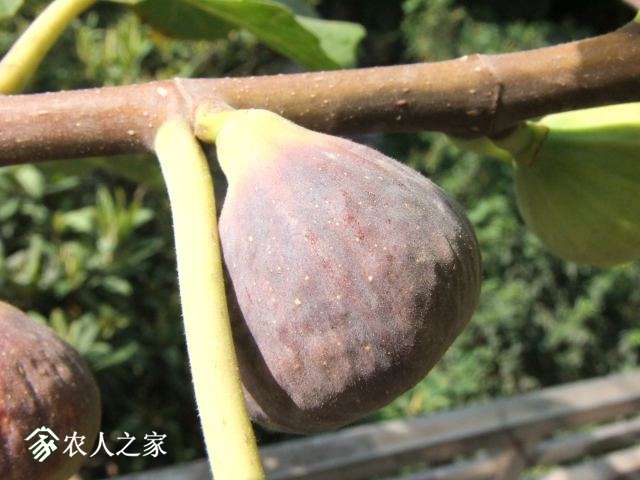 DSCF6981.JPG