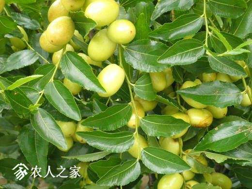 f_5491875_1.JPG