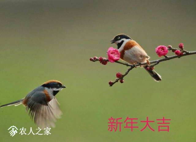 QQͼƬ20190204210516.jpg