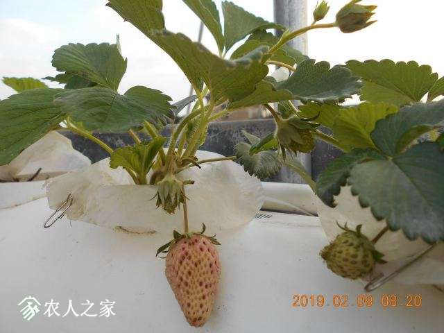 DSCN1219.JPG