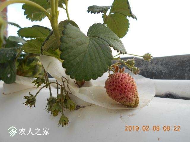 DSCN1222.JPG