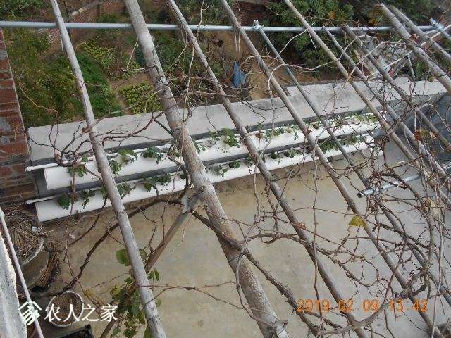 DSCN1224.JPG