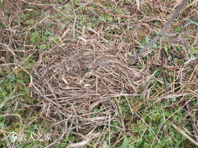 IMG_20190209_170930-1.jpg