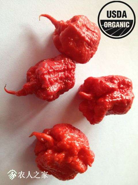 reaper_gang_of_4_array_52b8be9c-19ec-4724-9acc-25893f3c38a2.jpg