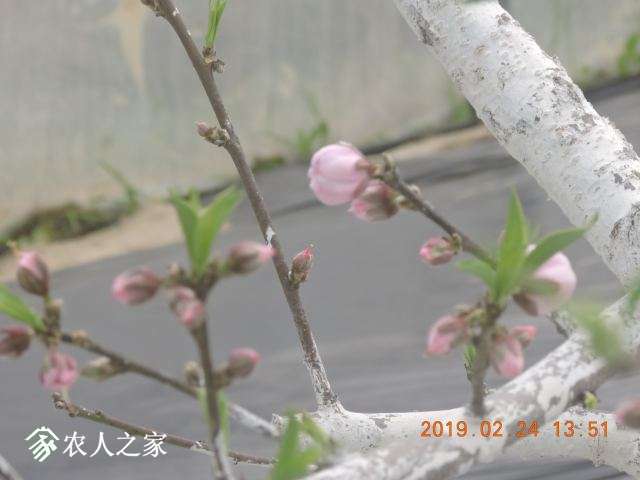DSCN6911.JPG