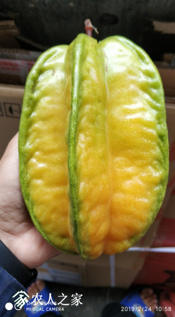 QQͼ20190224231538.png