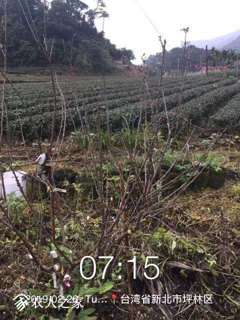 WeChat DƬ_20190226100612.jpg