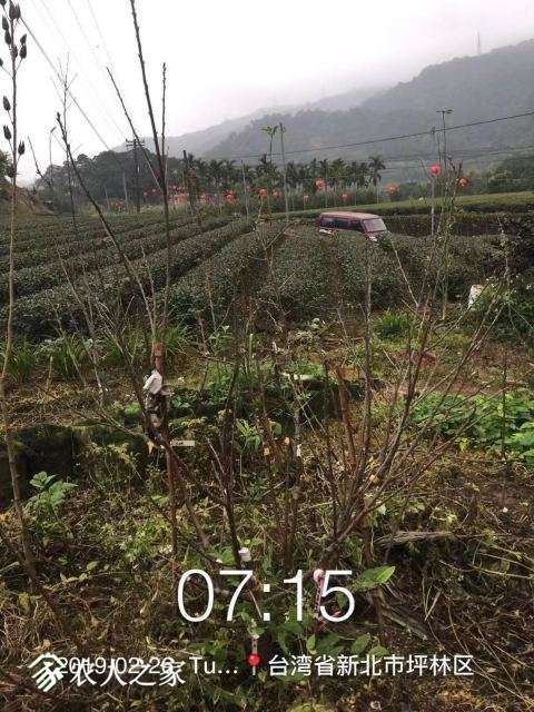 WeChat DƬ_20190226100617.jpg