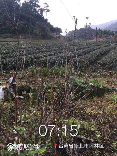 WeChat DƬ_20190226100621.jpg