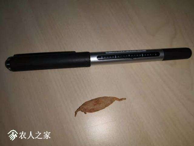 ΢��ͼƬ_20190227112108.jpg