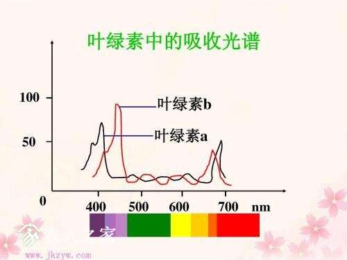 u=3026467099,2154495060&amp;fm=26&amp;gp=0.jpg