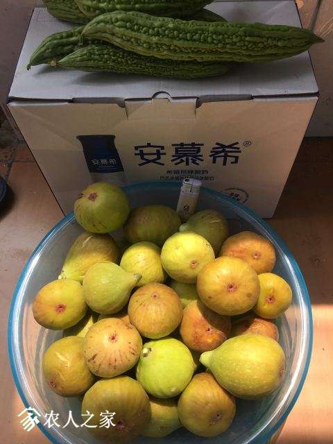 ջ2.JPG