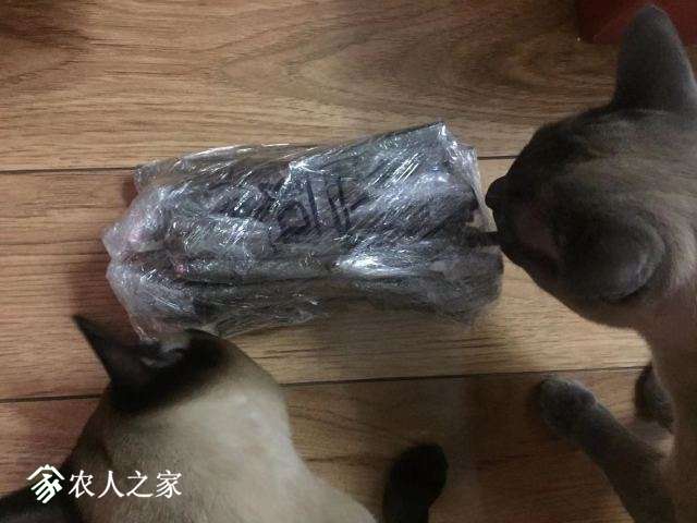 ΢ͼƬ_20190308095030.jpg