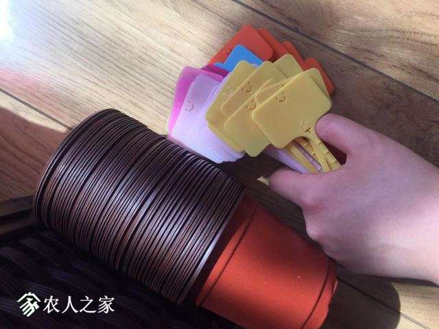 ΢ͼƬ_20190308115037.jpg