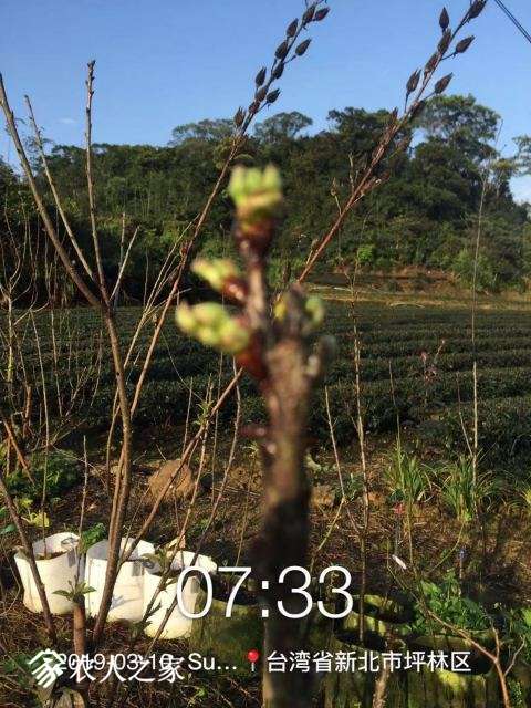WeChat DƬ_20190311110603.jpg