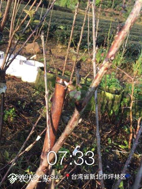 WeChat DƬ_20190311110607.jpg